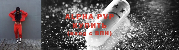 ПСИЛОЦИБИНОВЫЕ ГРИБЫ Бородино