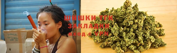 соль ск Бронницы