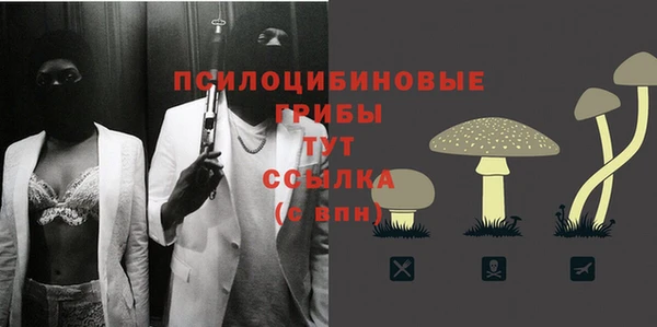 ПСИЛОЦИБИНОВЫЕ ГРИБЫ Бородино