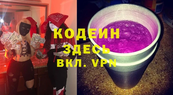 ПСИЛОЦИБИНОВЫЕ ГРИБЫ Бородино