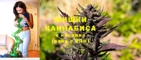 соль ск Бронницы